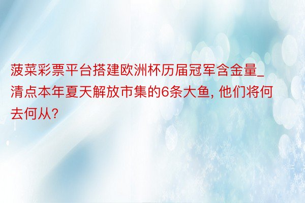 菠菜彩票平台搭建欧洲杯历届冠军含金量_清点本年夏天解放市集的6条大鱼, 他们将何去何从?