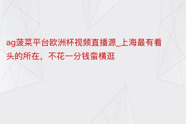 ag菠菜平台欧洲杯视频直播源_上海最有看头的所在，不花一分钱蛮横逛